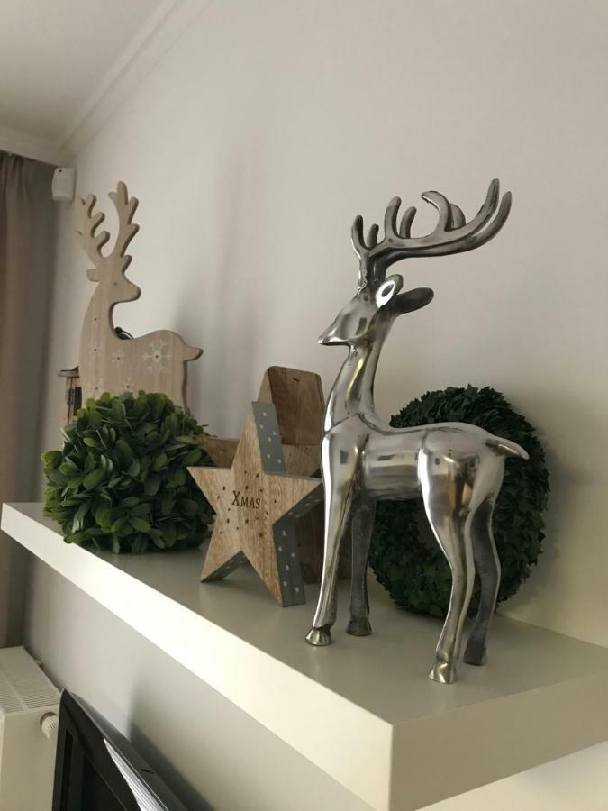 Apartament Stella Park ستارغارت ستاتشينسكي المظهر الخارجي الصورة